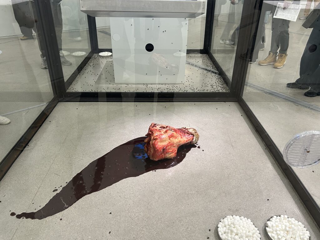 masterpieces of Damien Hirst: