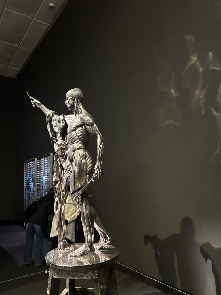 masterpieces of Damien Hirst: Saint Bartholomew, Exquisite Pain by Damien Hirst