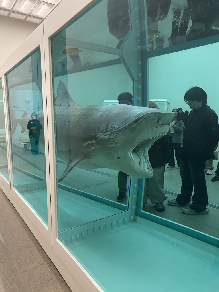 masterpieces of Damien Hirst: The Physical Impossibility of Death in the Mind of Someone Living, 1991 by Damien Hirst