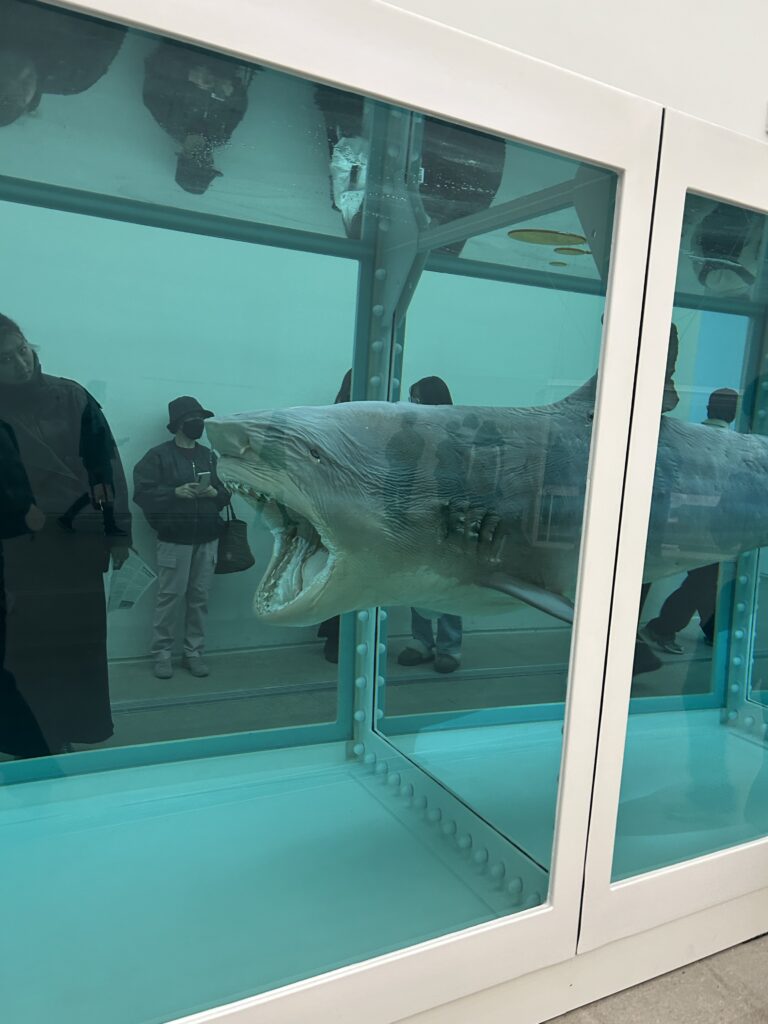 masterpieces of Damien Hirst: The Physical Impossibility of Death in the Mind of Someone Living, 1991 by Damien Hirst