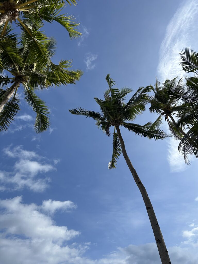Bohol Philippines