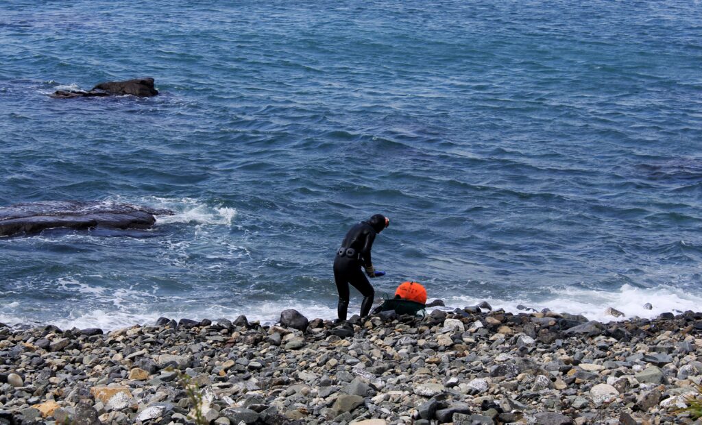 Traditional Jeju Haenyeo deep-sea female divers wearing vintage rubber wetsuits and holding orange tewak floats on a rocky volcanic coast, capturing the resilient island culture featured in Netflix's When Life Gives You Tangerines.