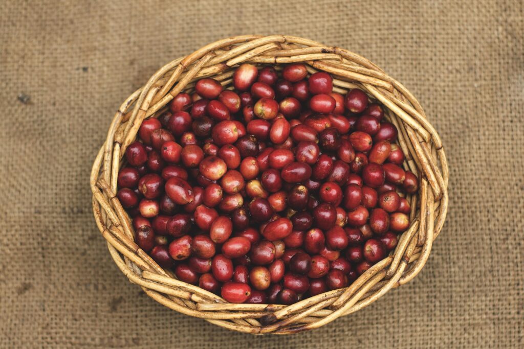 Close-up of vibrant red beans, a key ingredient for traditional Korean winter porridge, Patjuk