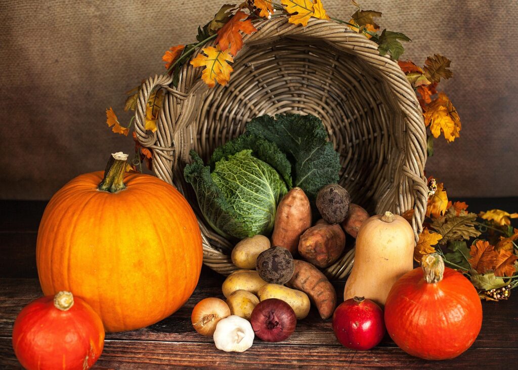 Hands harvesting fresh seasonal crops, representing the abundance of the traditional Korean harvest season