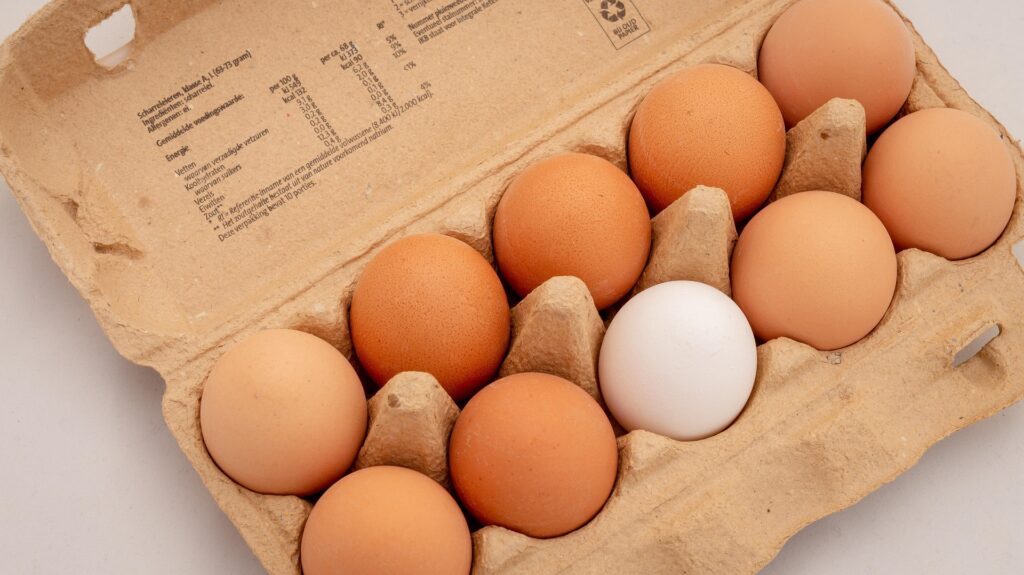 A single brown egg standing out among white eggs, symbolizing discrimination and being different as BTS Grammy Boycott